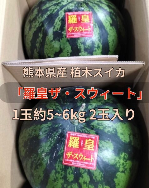 熊本県産 植木スイカ 羅皇ザ・スウィート 1玉約5~6kg 2玉入り 家庭用