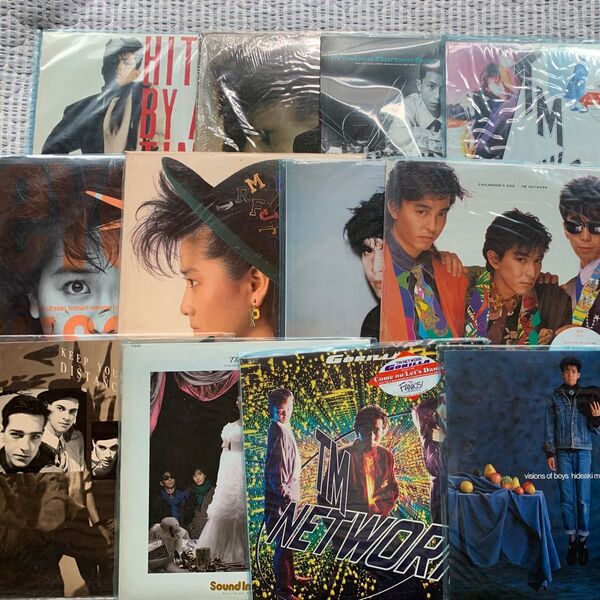 レコード まとめ売り 久保田利伸 TM NETWORK 渡辺美里 Curiosity Killed The Cat Keep