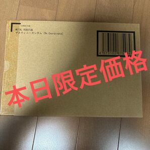 METAL ROBOT魂 デスティニーガンダム ReCoordinate 未開封