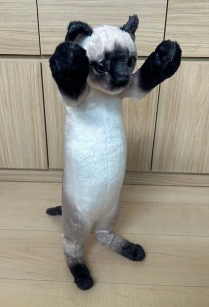たっちぃZoo にゃんこ【シャム猫】完全自立 アニマル ぬいぐるみ (株)リード正規品 美品