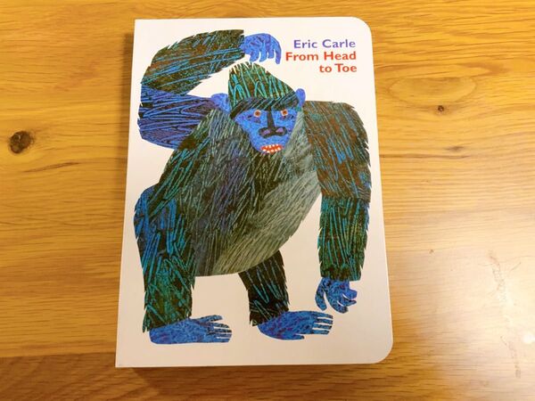 エリックカール From Head to Toe 英語絵本 新品