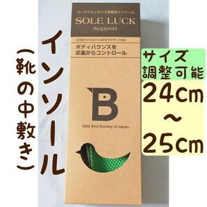 インソール SOLE LUCK バードウォッチング 24〜25cm グリーン系 日本野鳥の会