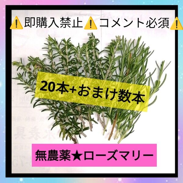 【コメント必須▼値下げ不可】安全 無農薬 ローズマリー 20本 料理 消臭 ハーブ 苗 栽培 健康 美容 ストレス