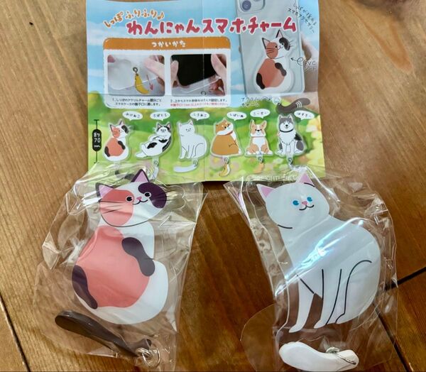 わんにゃんスマホチャーム みけねこ しろねこ 2種セット ガチャガチャ