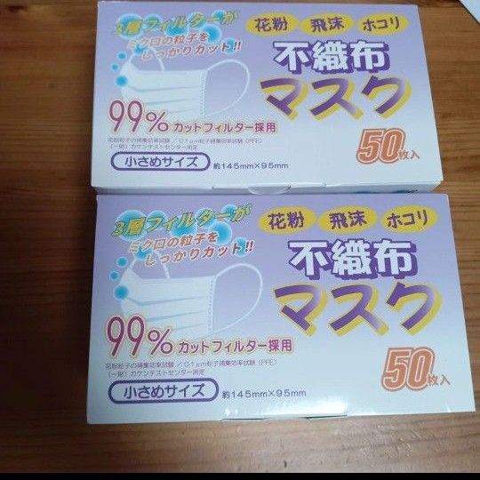 マスク 大人用 不織布 花粉 100枚 小さめサイズ