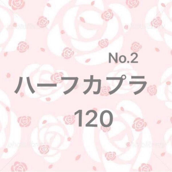 ②ハーフカプラ