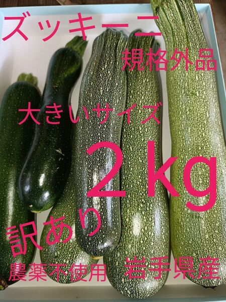 ズッキーニ 2kg 規格外品 農薬不使用 訳あり 大きいサイズ 岩手県産