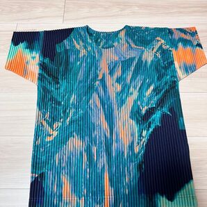 HOMME PLISS ISSEY MIYAKE オムプリッセ agate Tシャツ カットソー サイズ2