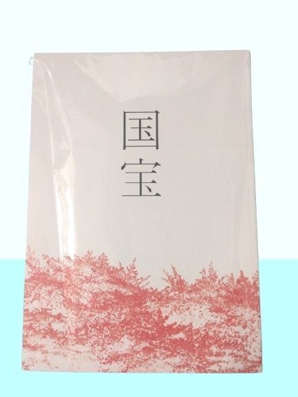 国宝 パンフレット 吉沢亮 横浜流星 渡辺謙 高畑充希 寺島しのぶ 歌舞伎 映画 訳あり 送料込み