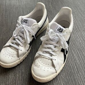 アシックス asics hl7xo GEL PTG ポイントゲッター 28cm