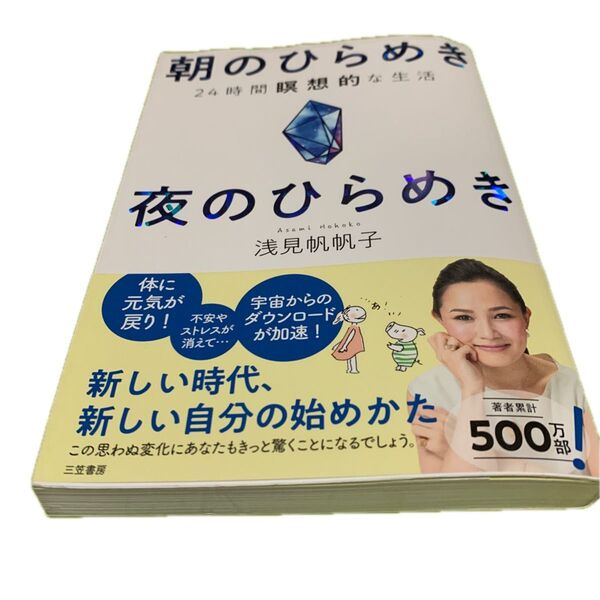 朝のひらめき夜のひらめき 24時間瞑想的な生活 浅見帆帆子/著