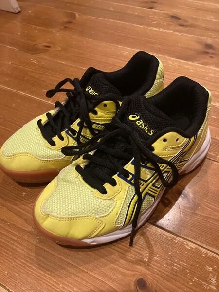 アシックス asics バドミントンシューズ コートラッシング 20.5