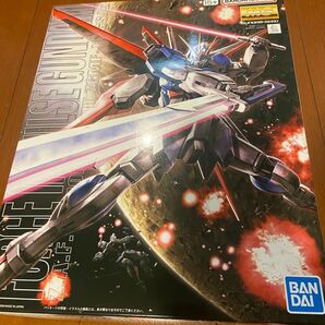 【未組立品】MG 1/100 フォースインパルスガンダム