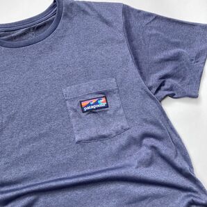 Patagonia Tシャツ パタゴニア 波タグ ポケT