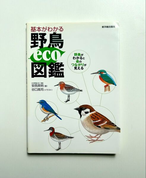 基本がわかる野鳥eco図鑑 : 野鳥がわかると命のつながりが見える