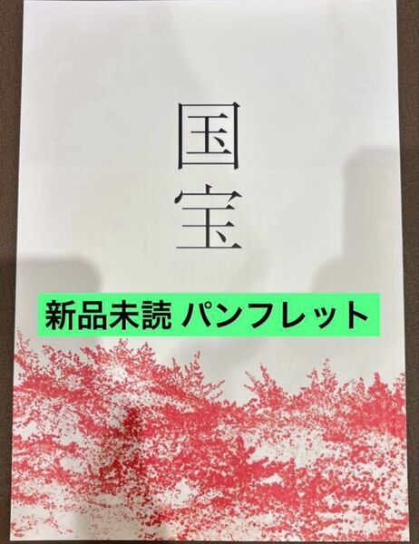 映画 国宝 吉沢亮 横浜流星 パンフレット