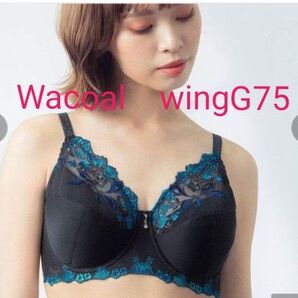 ワコールWacoalウィングwingG75フルカップブラジャー新品未使用今期 脇高 サルート ワイヤーブラ