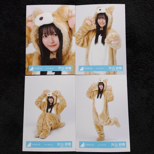 日向坂46 片山紗希「どうぶつ着ぐるみ」4種コンプ 生写真 コンプ