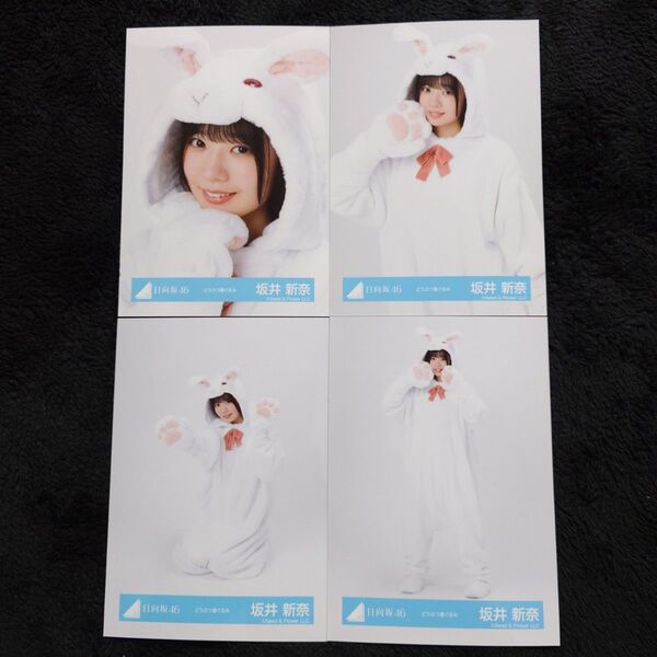 日向坂46 坂井新奈「どうぶつ着ぐるみ」4種コンプ 生写真 コンプ