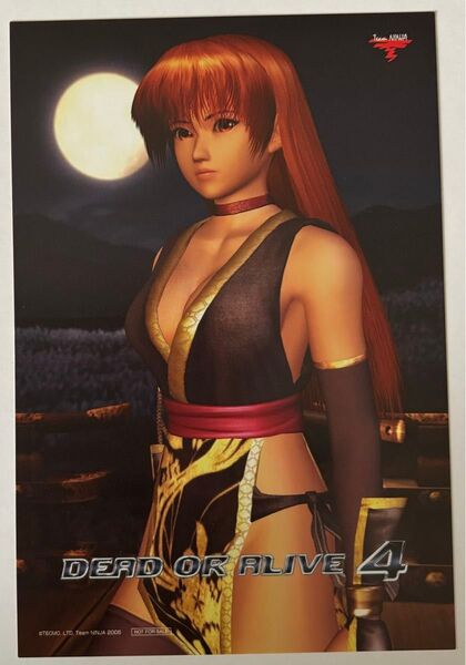 デッド オア アライブ4 ポストカード 特典 非売品 DEAD OR ALIVE 4 DOA4 テクモ Team NINJA