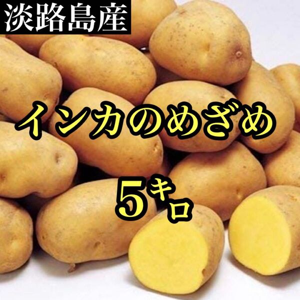 淡路島産 幻のじゃがいも インカのめざめ 約5キロ弱 送料無料