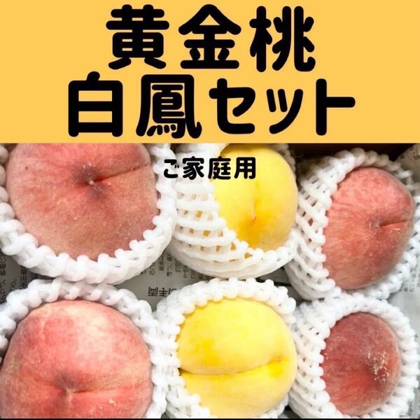 桃 白鳳 黄金桃セット 約1キロ ご家庭用