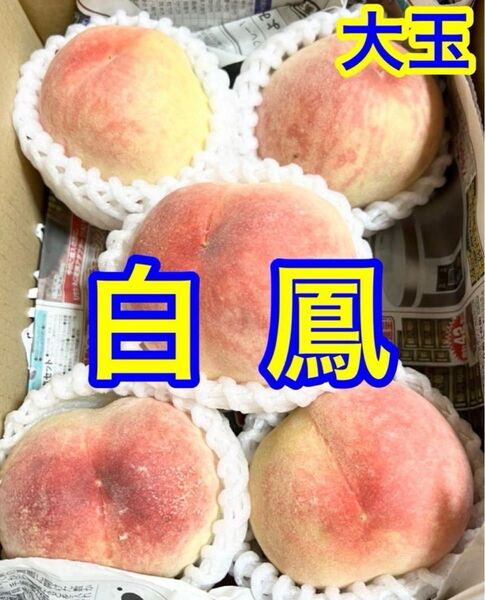 桃 白鳳 4〜6玉 約1.5〜1.8キロ 大玉 ご家庭用