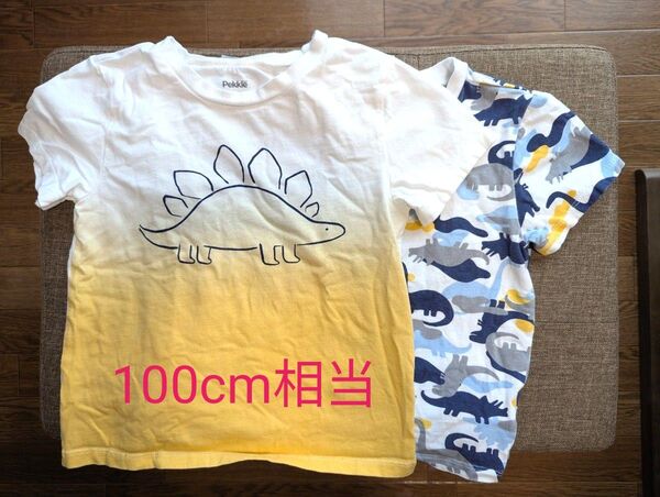 100cm相当 恐竜柄 半袖 Tシャツ 2枚セット(1枚汚れあり)