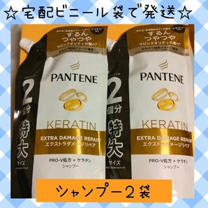 【SP2袋】パンテーン エクストラダメージリペア シャンプー 詰め替え 600ml×2個 特大サイズ 緩衝材なし