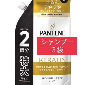 【SP3袋】パンテーン エクストラダメージリペア シャンプー 詰め替え 600ml×3個 特大サイズ 緩衝材なし