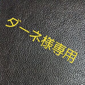 ダーネ様専用 ルアー4個セット