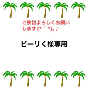 新品未使用 メンズ 水着 ゴンゾーサーフ 正規品 サーフパンツ レオパード柄 ヒョウ柄 おしゃれ かっこいい L