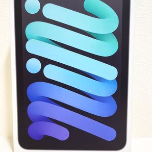 新品未開封 第7世代 iPad mini (A17 Pro) 128GB Wi-Fi スペースグレイ