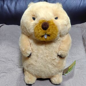 マーモットのもっとっとモア ボバくん
