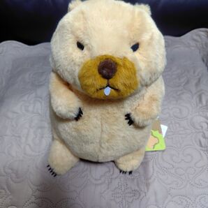 マーモットのもっとっとモア ボバくん