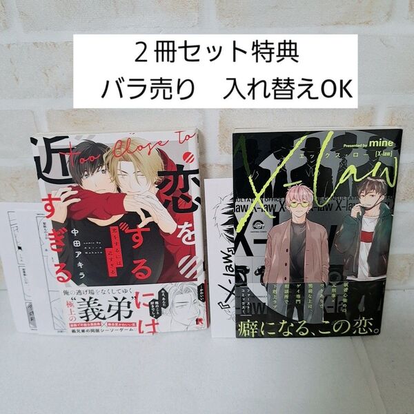 中田アキラ恋をするには近すぎるmineエックスローX-law商業BL漫画コミックボーイズラブ