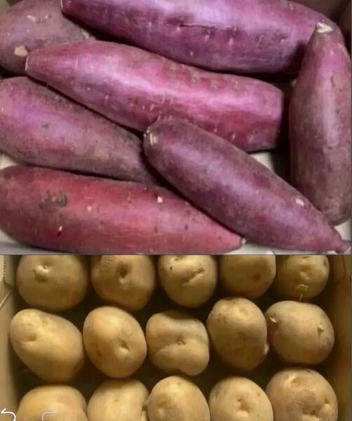 M限定特売♪ 大盛りお買い得野菜セット 4kg,