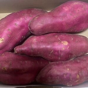 4特売♪さつまいも 徳島県産 金時 1.4kg