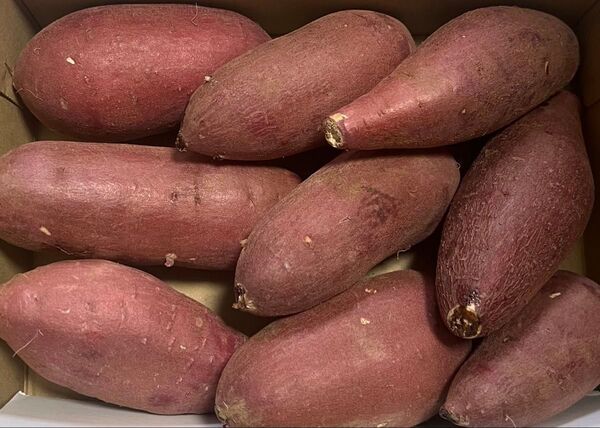 3特売♪さつまいも 千葉県産 紅はるか 1. 4kg 箱込み