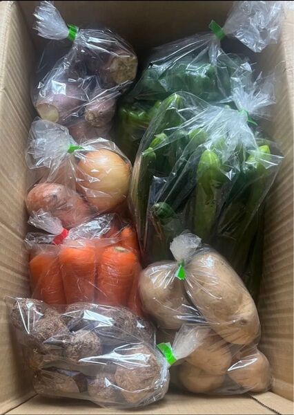 K 限定特売♪ 訳あり大盛りお買い得7種野菜セット