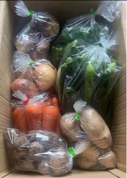 K 限定特売♪ 訳あり大盛りお買い得7種野菜セット