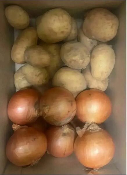 H限定特売♪ 大盛りお買い得野菜セット 6kg,