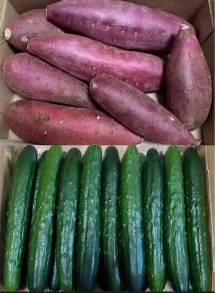 P限定特売♪ 大盛りお買い得野菜セット 4kg