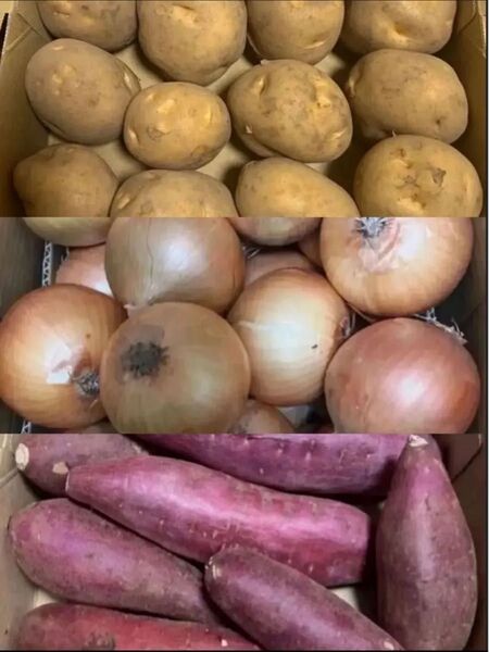 限定特売♪ ゆうパケット大盛り3種野菜果物セット合併,