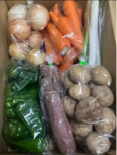 K 限定特売♪ 訳あり大盛りお買い得6種野菜セット