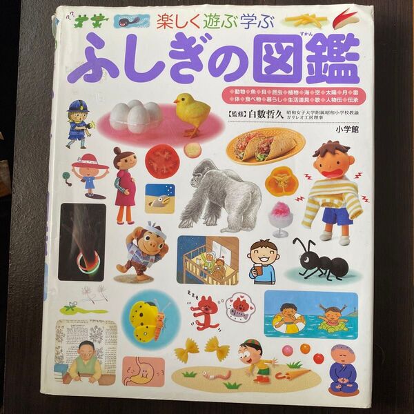 楽しく遊ぶ学ぶ ふしぎの図鑑