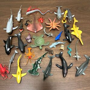動物 フィギュアたくさん盛り合わせセット リュウグウノツカイ サメ カメ クジラ 魚