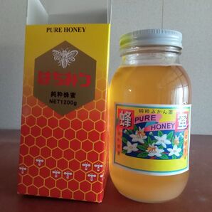 国産みかん蜂蜜1200g