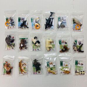 《美品》アニア まとめ売り 動物フィギュア カード付き 18点セット+おまけ2点
