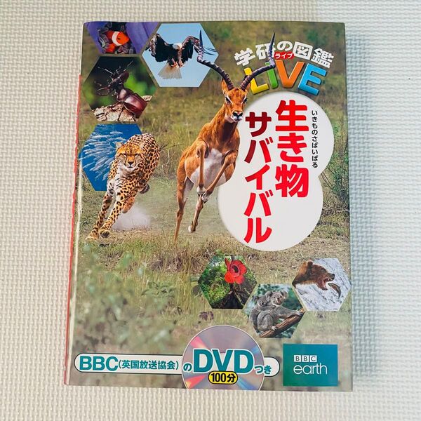美品 学研の図鑑 LIVE 生き物サバイバル DVD